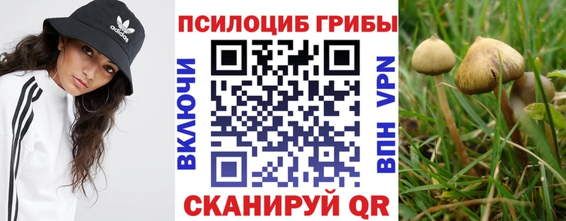 Галлюциногенные грибы прущие грибы  Вилюйск 